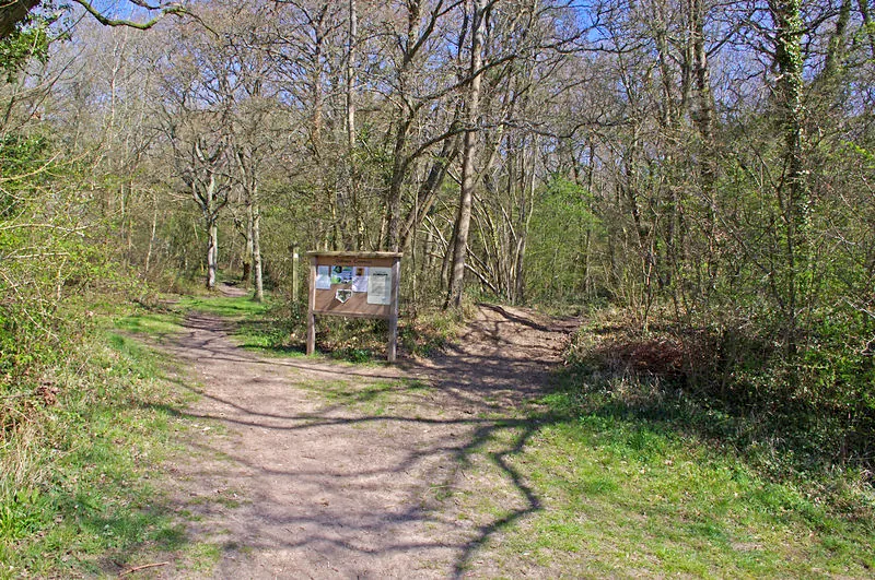 Odiham - Odiham Common