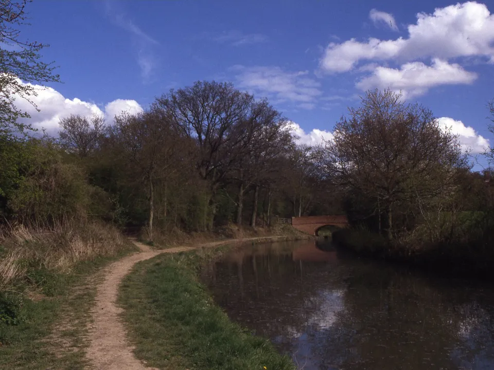 Broad Oak Bridge, a brick arch over the Basingstoke Canal, reflected in the water among trees