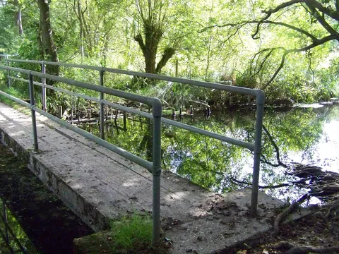 A wooden footbridge over the clear River Whitewater in Greywell Moors nature reserve, surrounded by trees