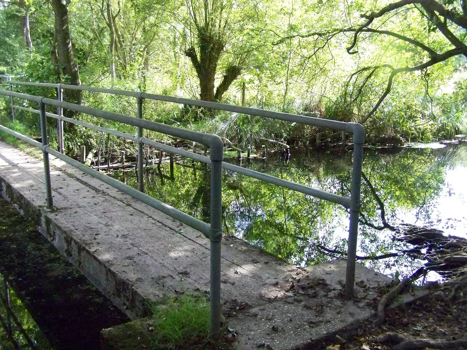 A wooden footbridge over the clear River Whitewater in Greywell Moors nature reserve, surrounded by trees