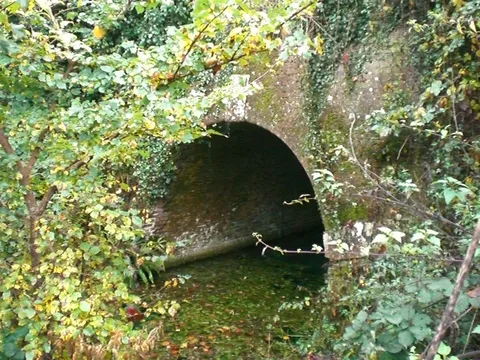 The brick arch of Greywell Tunnel's eastern portal, half hidden by ivy above the still canal