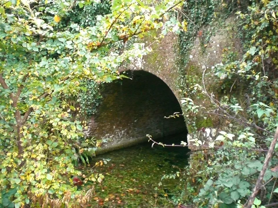 The brick arch of Greywell Tunnel's eastern portal, half hidden by ivy above the still canal