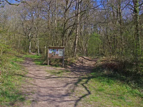 A path leading into the trees on Odiham Common, with an information board beside it